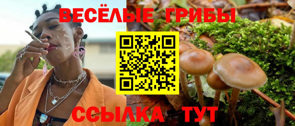 Псилоцибиновые грибы мухоморы Хабаровск