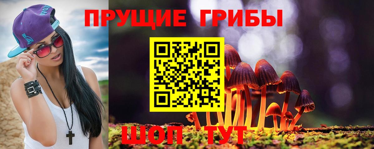 Хабаровск  Галлюциногенные грибы Psilocybine cubensis  Галлюциногенные грибы ЛСД  Вход с VPN 